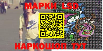 a pvp Братск