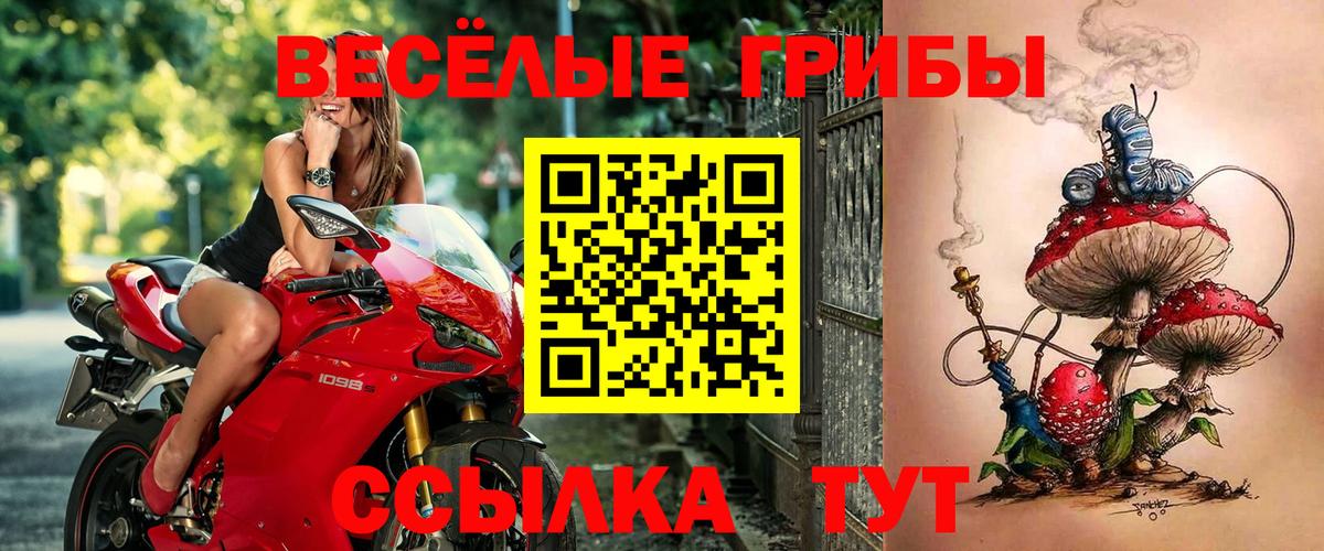 Артёмовский  Галлюциногенные грибы GOLDEN TEACHER  Вход с VPN  Галлюциногенные грибы мухоморы 